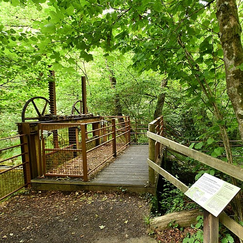 Circuit Pédestre N°67 : "Sentier de découverte de la cascade des Jarrauds"
