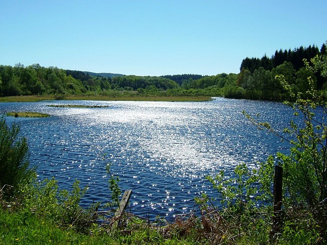 Circuit pédestre N°23 CC:  "Sentier de découverte de la tourbière de l'étang du Bourdeau"
