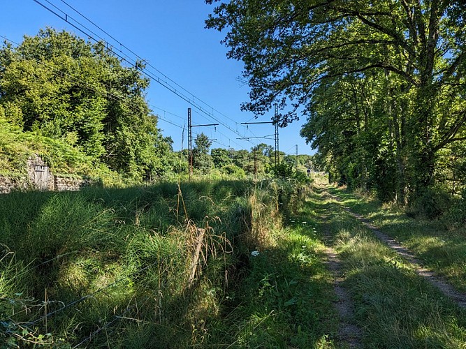 chemin long voie ferrée
