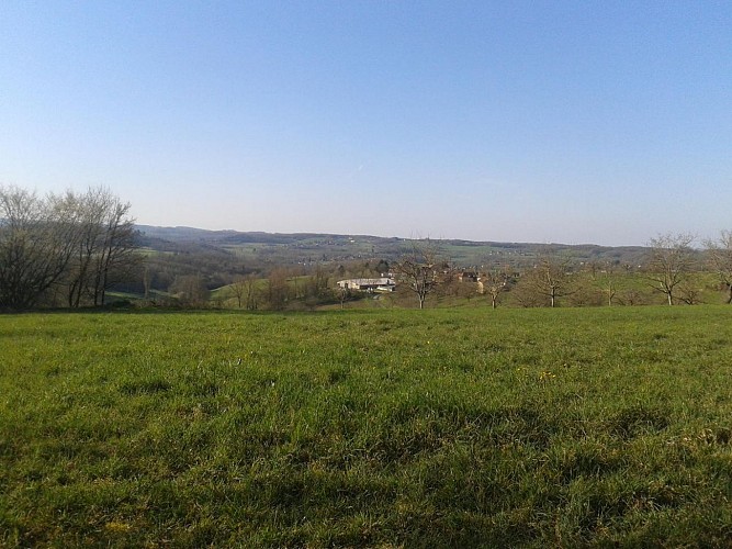 table de pique nique 3