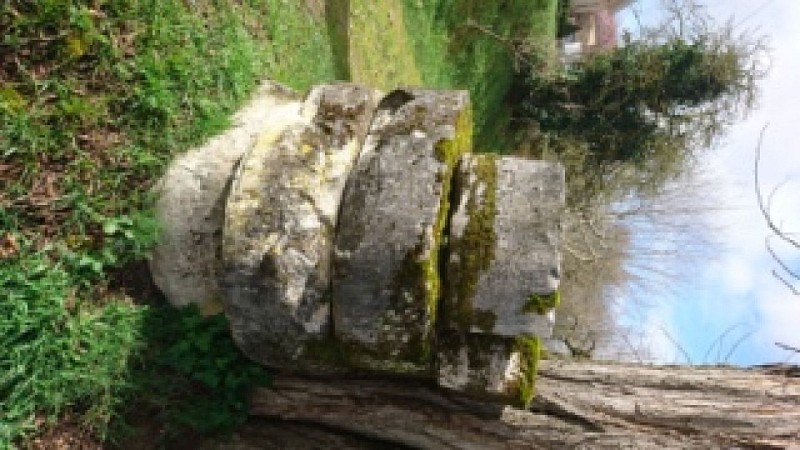 Bcledesplantades-meules1