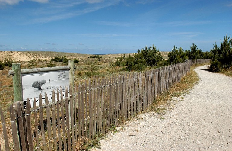 L'abécédaire des Dunes du Cap Ferret