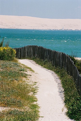 L'abécédaire des Dunes du Cap Ferret