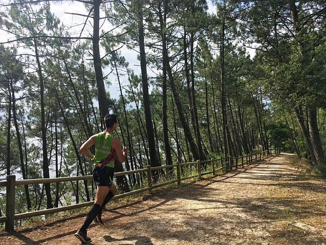 Running Sentier du lac Maubuisson - © Médoc Atlantique (2)