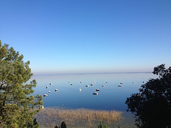 MAUBUISSON VUE SENTIER DU LAC