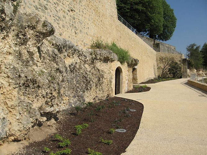 site fossile ste croix du mont1