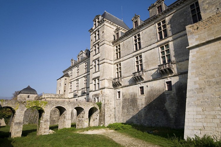 Chateau de Cadillac_