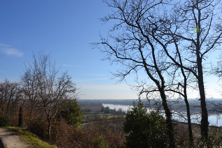 La garonne au pied de Baurech