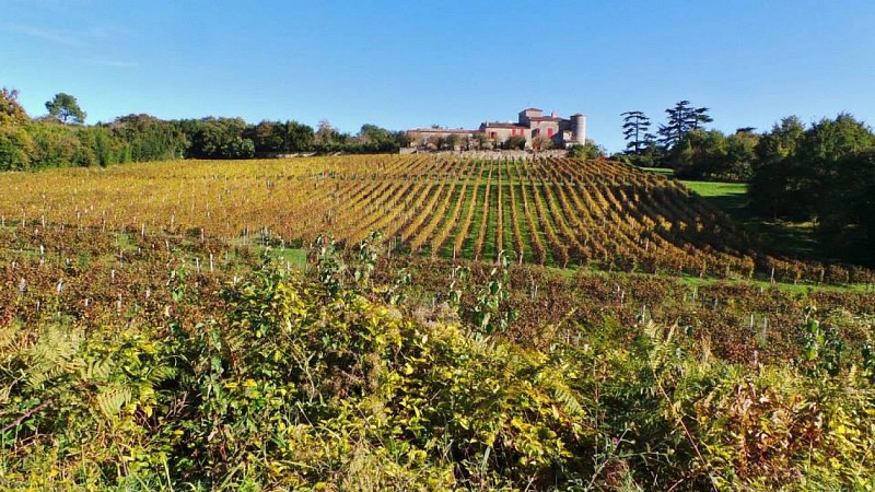 Château de Lacaussade - vue départementale