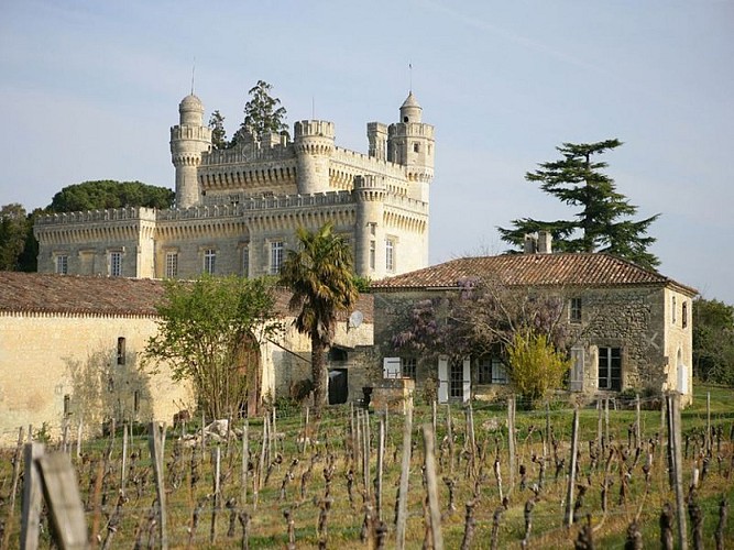 chateau de camarsac2-