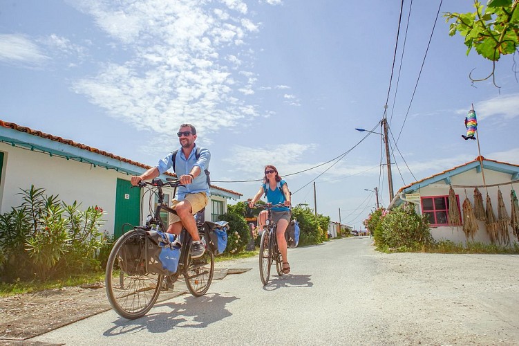 50400576711_f011e1d800_k