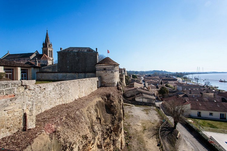 26178246047_0269564055_c