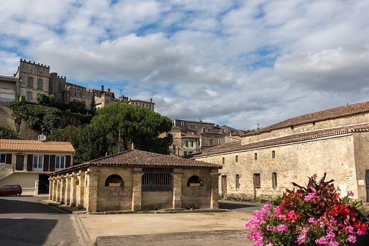 36131568226_74746ab171_c