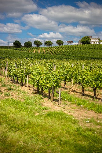 42920131021_75a3f34fa6_c