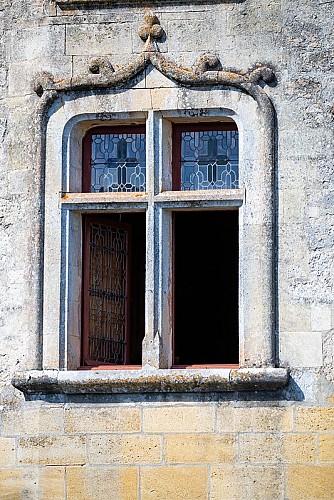 52065932521_d8c67c0ea9_c