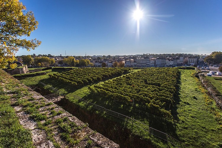 37547421396_69a4d8a9f4_c