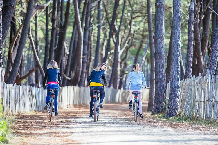 biscarrosse-velo-vivier