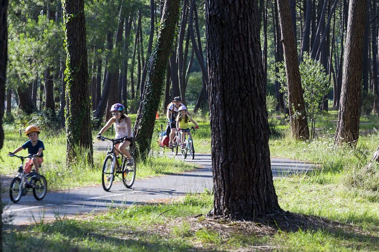 biscarrosse-pistes-cyclables-foret