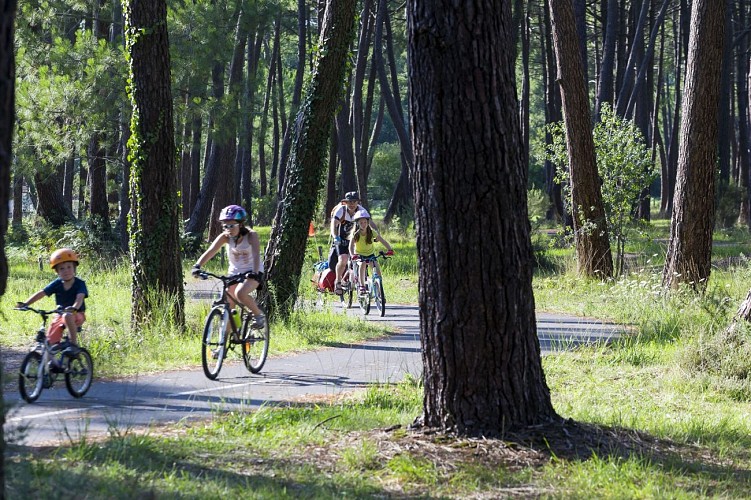 biscarrosse-pistes-cyclables-foret