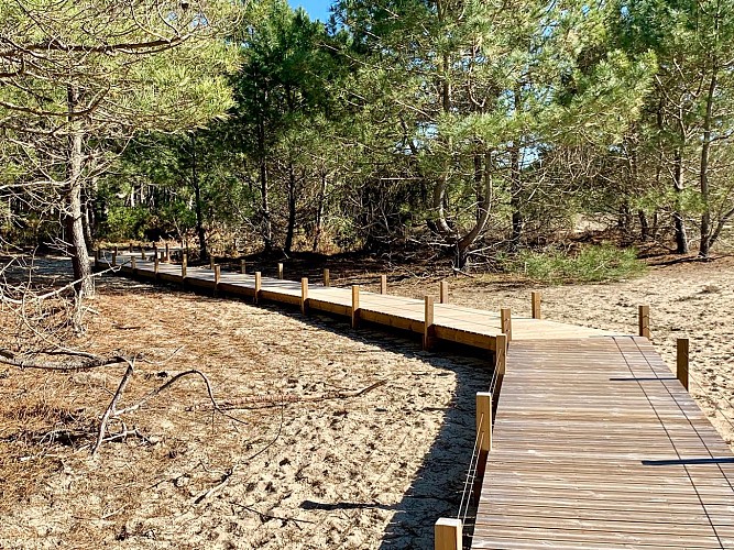 sentier-interpretation-vivier-bisca1