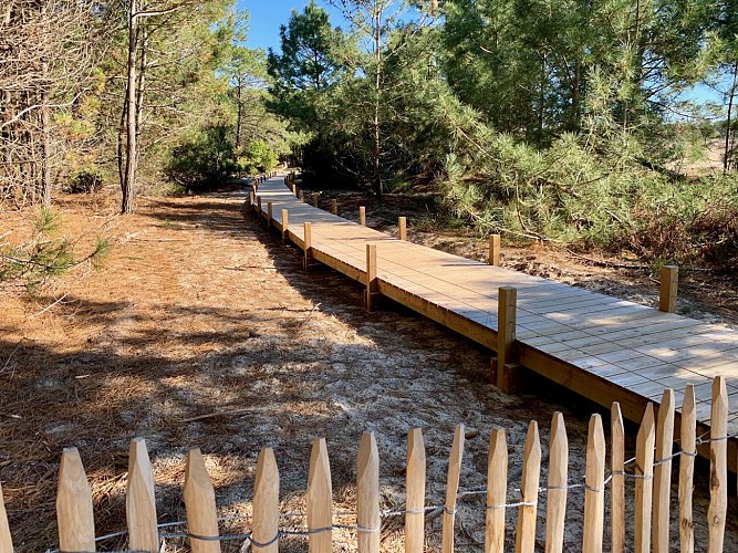 sentier-interpretation-vivier-bisca11