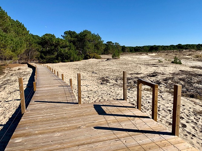 sentier-interpretation-vivier-bisca7