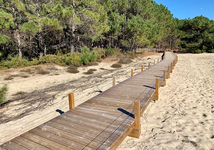 sentier-interpretation-vivier-bisca3