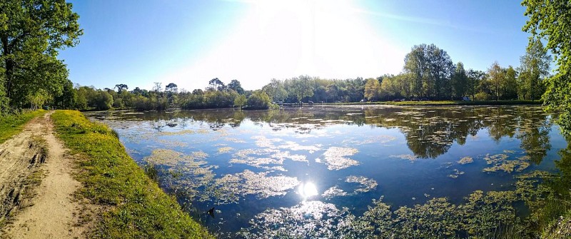 180525415_3866674980077539_3203594134513525644_n