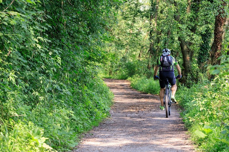 AdobeStock_240749672