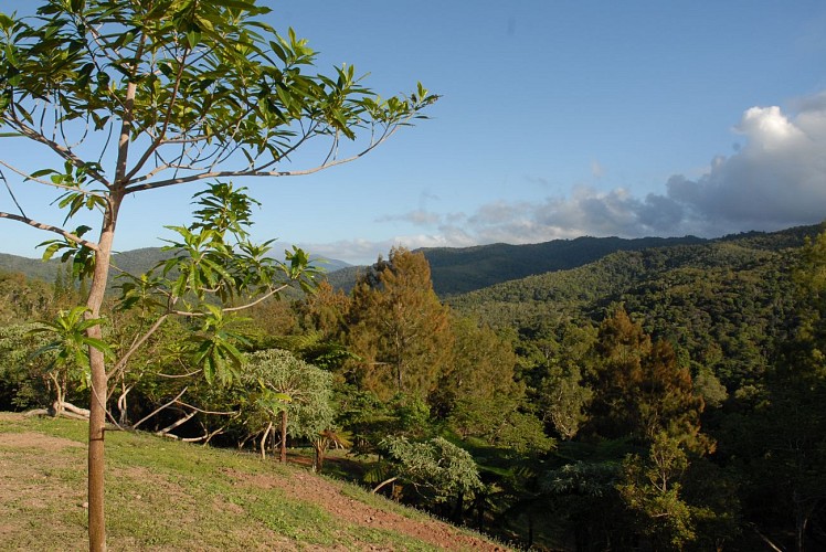 Parc des Grandes Fougères