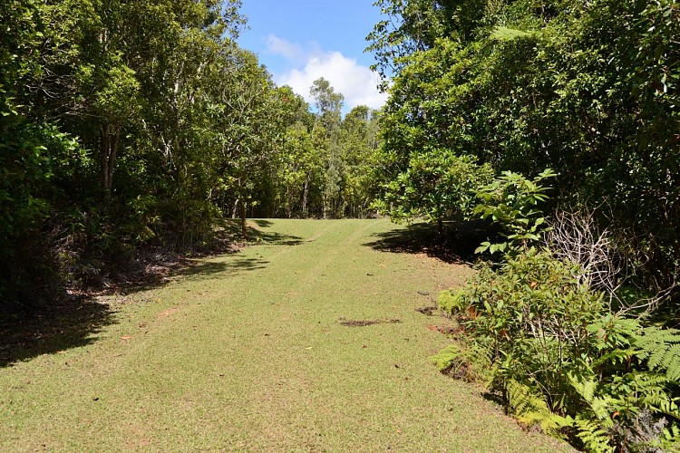 Parc des Grandes Fougères
