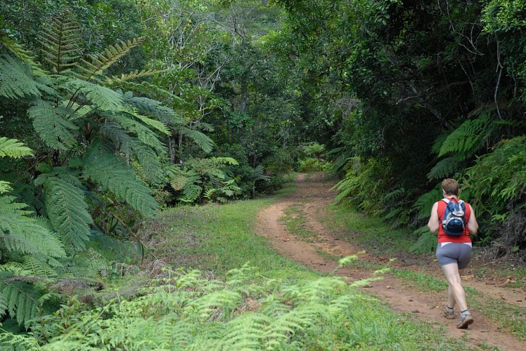 Parc des Grandes Fougères
