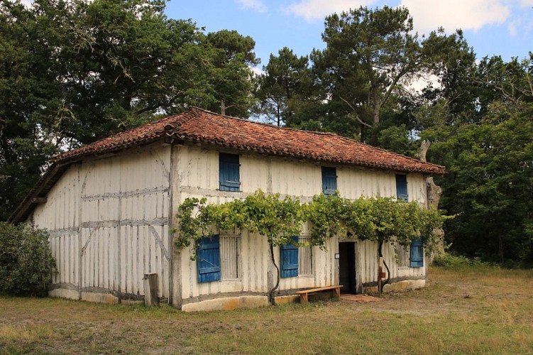 PNR des Landes de Gascogne - Écomusée de Marquèze - la maison des métayers ©Tourisme Landes (35)