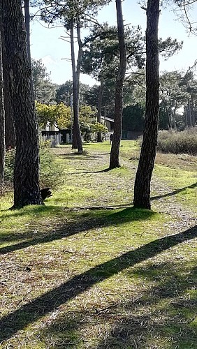 2019_sentier aigrette (7) (Copier)