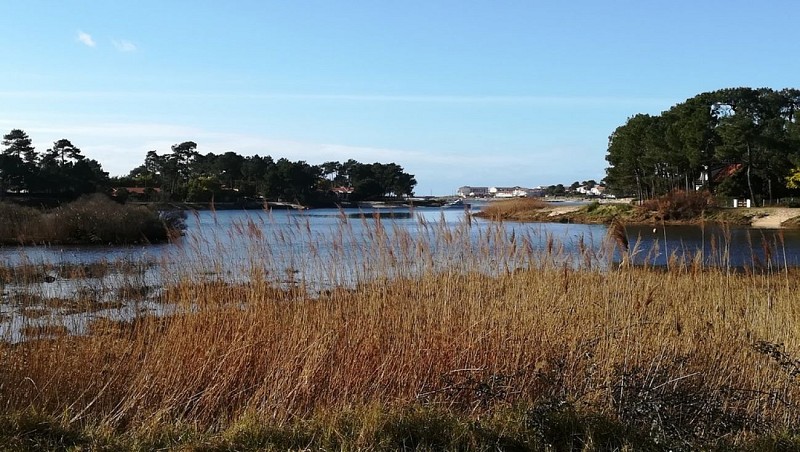 2019_sentier aigrette (6) (Copier)