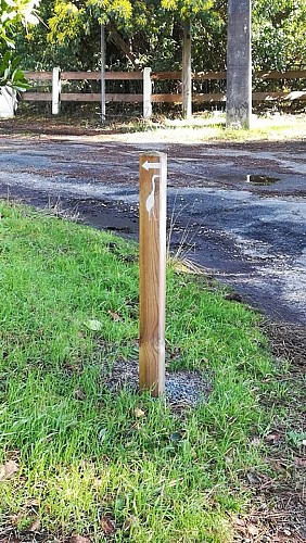 2019_sentier aigrette (10) (Copier)