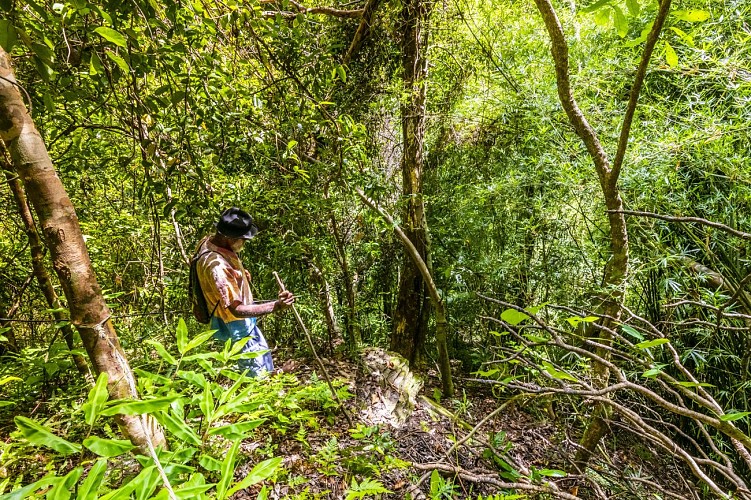 Randonnée sur Touho avec Jean