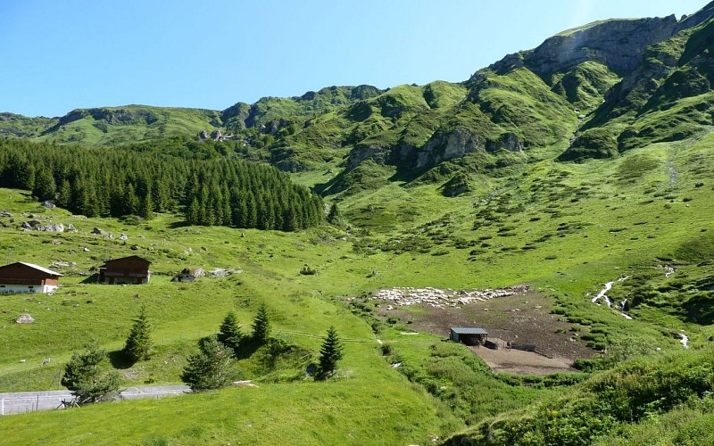 1440vue-gourette-depuis-balcon-de gourette©otebg