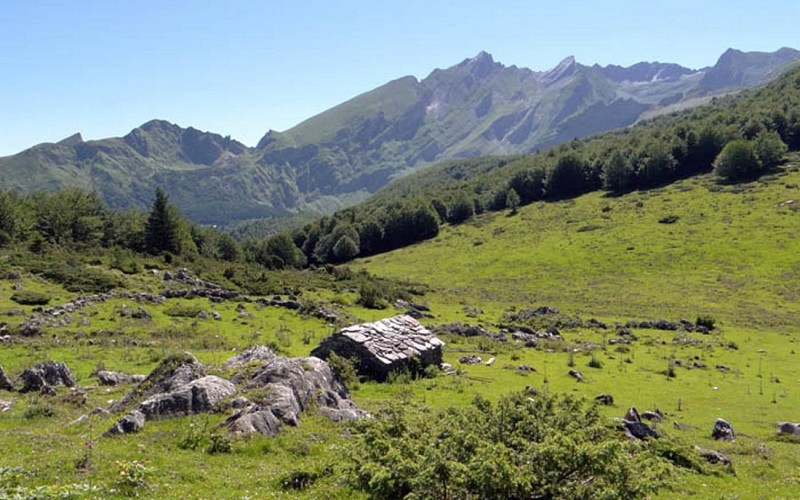 1440x900 CABANE DE BOUY