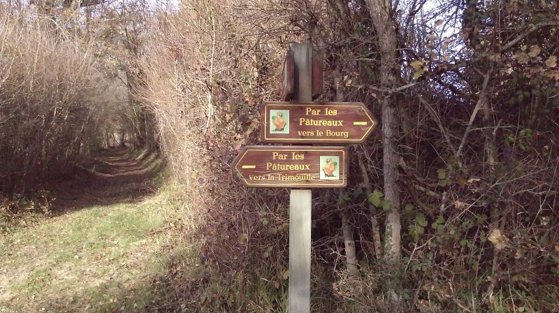 Par Les Patureaux / Boucle 7