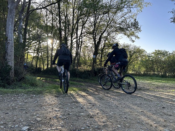 VTT à Lathus