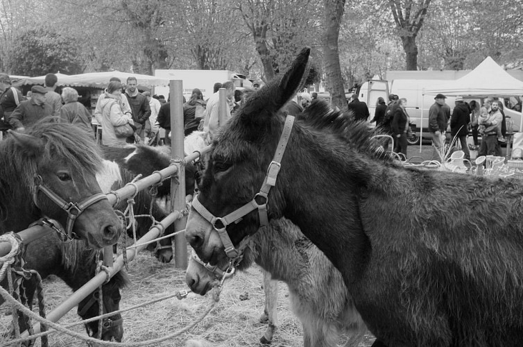 Foire de Lencloître