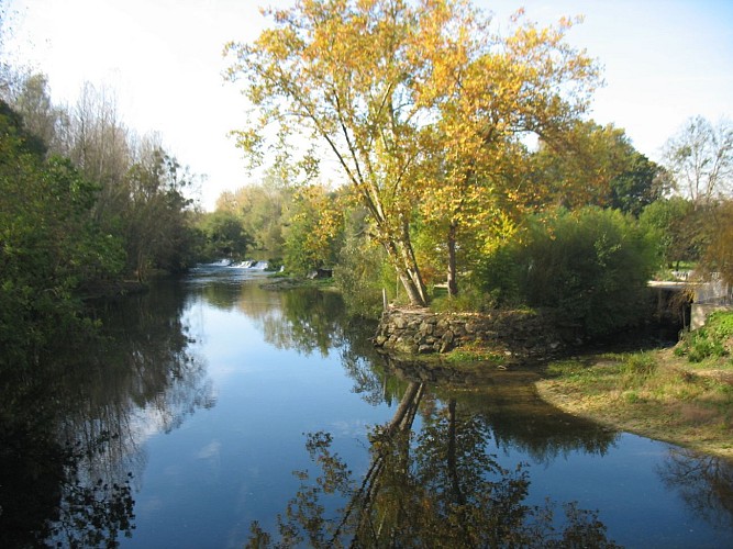 Rives du Clain