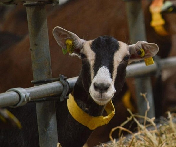 la-boucle-chatelleraudaise-1627910128