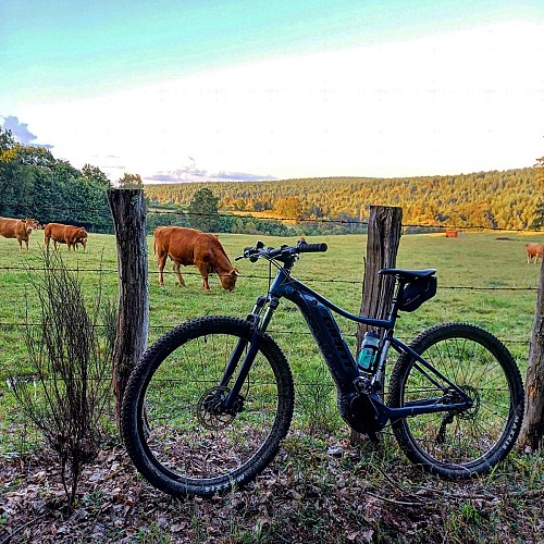 Boucle cyclotouristique "Musée Cécile Sabourdy"