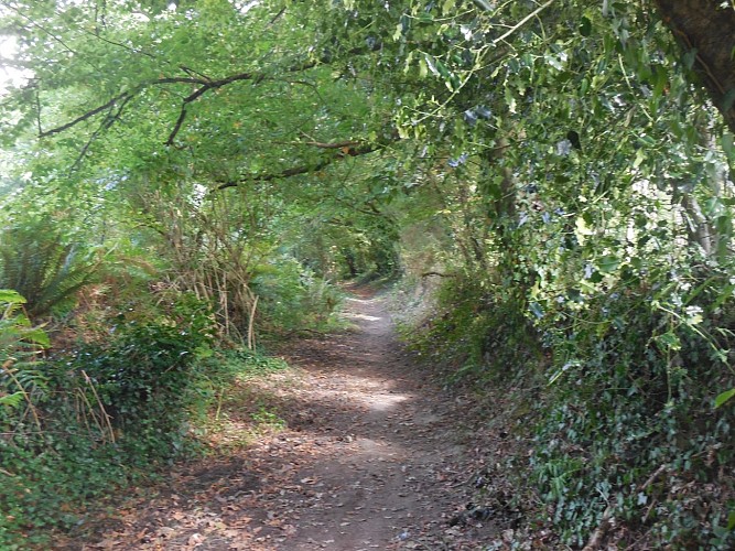 Le sentier de Kermezen