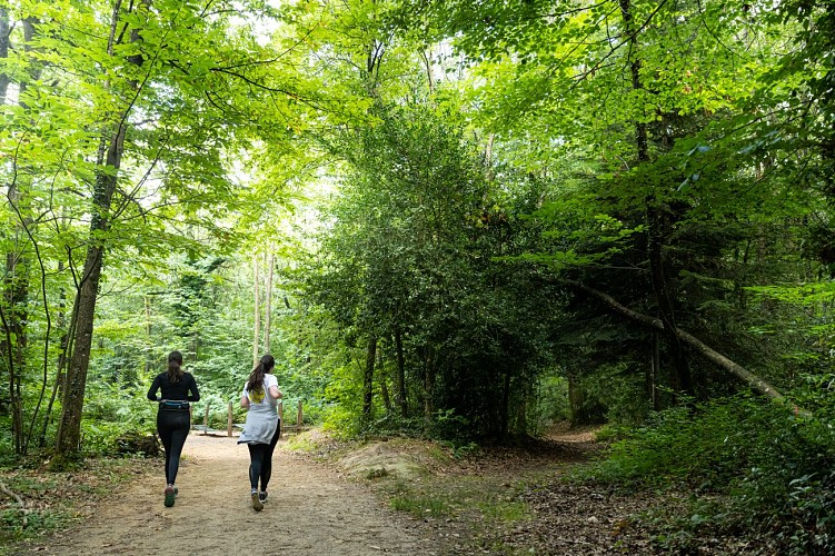 Parcours Trail n°5 - Plédran // Yffiniac (vert)