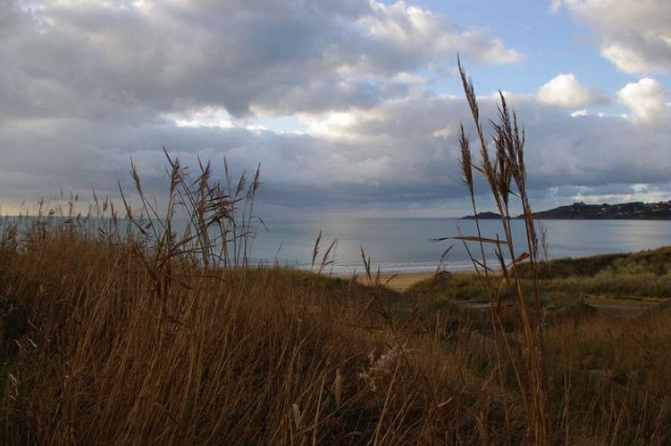 Boucle de la Côte de Granit Rose par le GR®34