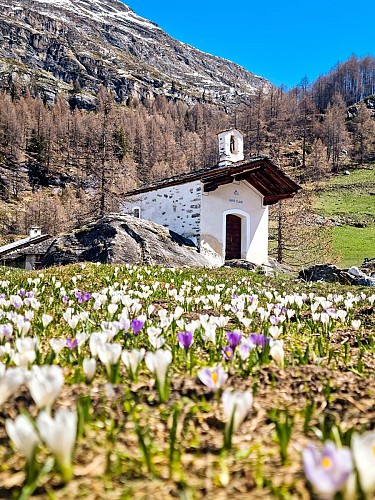 Wandelroute: de Monal vanaf de Echaillon_Sainte-Foy-Tarentaise