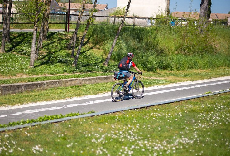 34033168255_2e00db9555_c